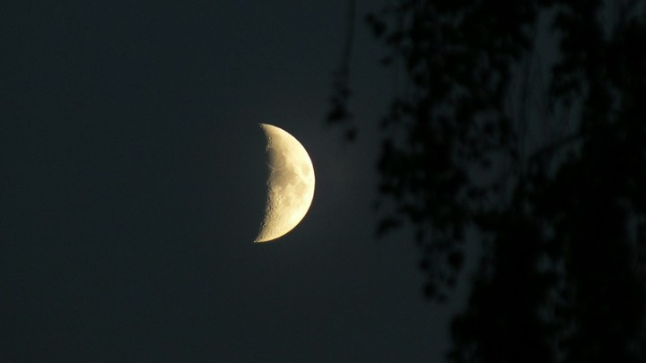 Сомнолог Дуйкин объяснил, как победить сонный паралич упражнениями