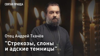 Стрекозы, слоны и адские темницы: Отец Андрей Ткачёв о любимых книгах старца Амвросия Оптинского
