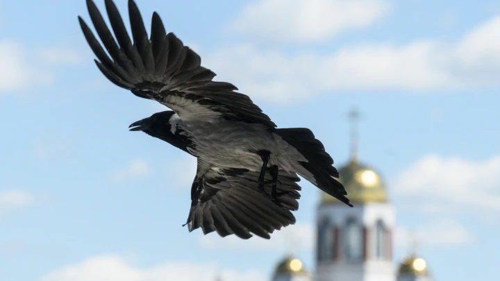 В церкви объяснили, означает ли скорую смерть сон с зовущим покойником
