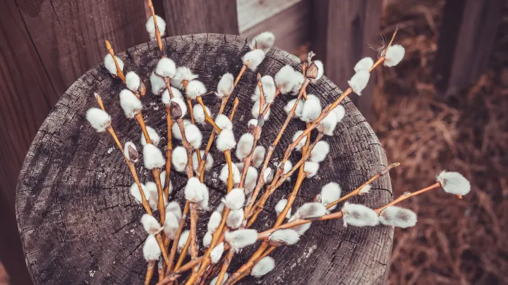 Лазарева суббота: суть и традиции праздника