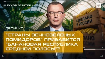 Пронько: К титулу Страны вечнозеленых помидоров прибавится Банановая республика средней полосы?