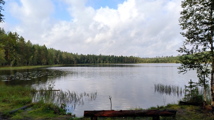 Сальдо: ВСУ хотят заразить водоёмы Херсонской области химоружием