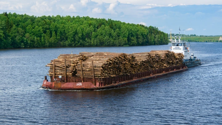 В порту Приморья едва не перевернулся лесовоз, инцидент сняли на видео