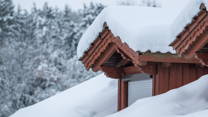 Бабуля из России спасла американских родственников во время катастрофы: Они не знали, что воду надо сливать!