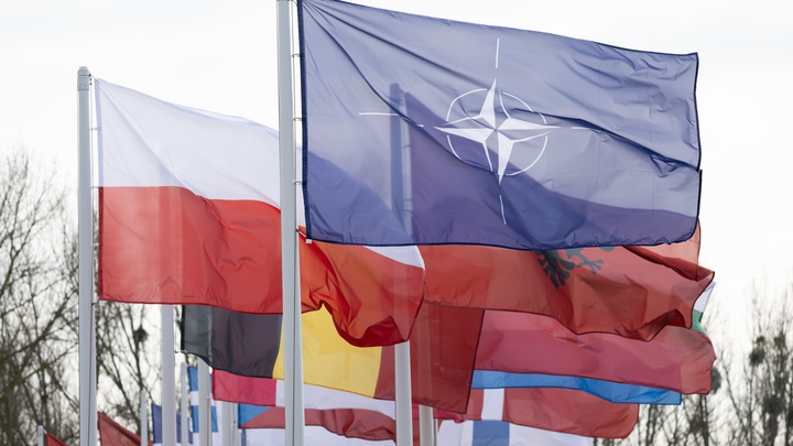 ЕС может в 2025 году отправить войска на Украину: Количество солдат уже известно