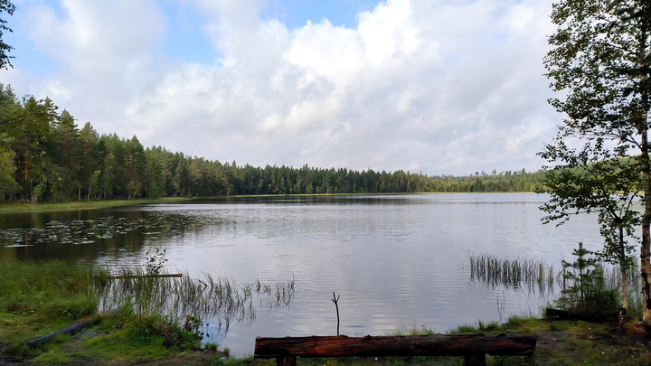 Пропавшую в Улан-Удэ девочку нашли утонувшей в затопленном водой карьере