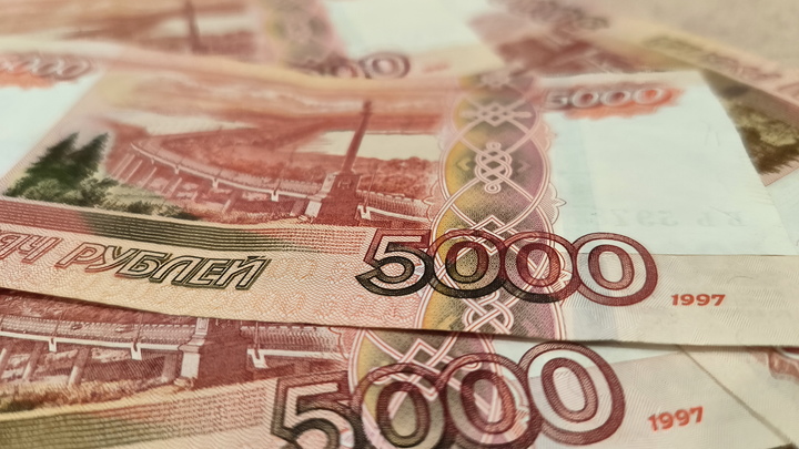 В МВД рассказали об ущербе от хищения материнского капитала в России