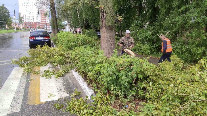 Ураган обрушился на Нижний Новгород: повалено около 100 деревьев