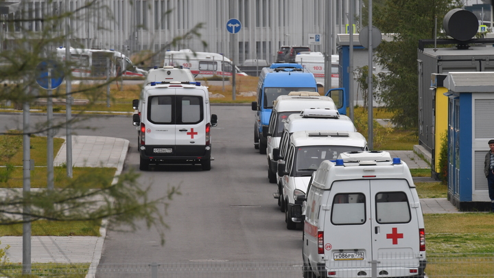 Откровенная глупость: Шафран ёмко высказалась о новом мире COVID-паспортов