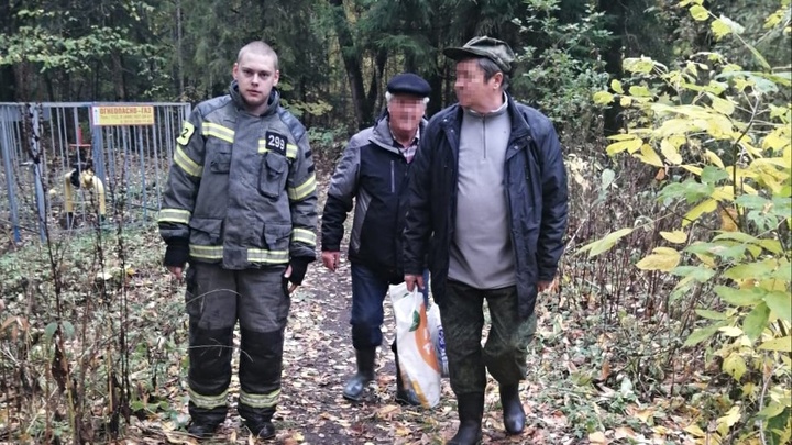В Подмосковье за один день спасатели вывели из леса 11 заблудившихся грибников