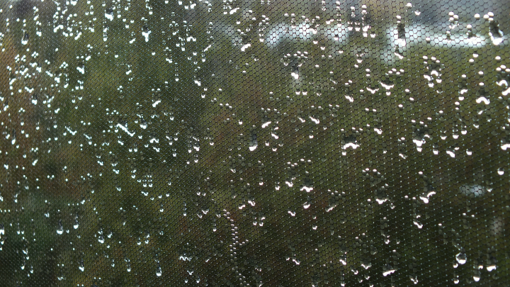 Потолок рухнул на фуд-корт в торговом центре в ХМАО. Причина - ливень