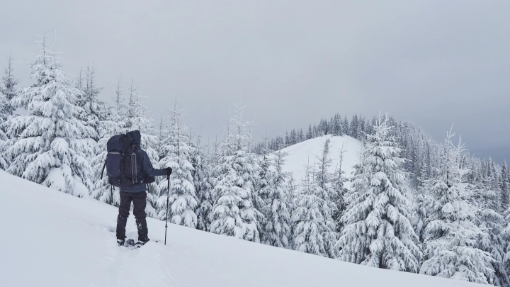 Так Усольцевы в Испании? Сын Ирины всех переполошил. И тут слово взяли правоохранители