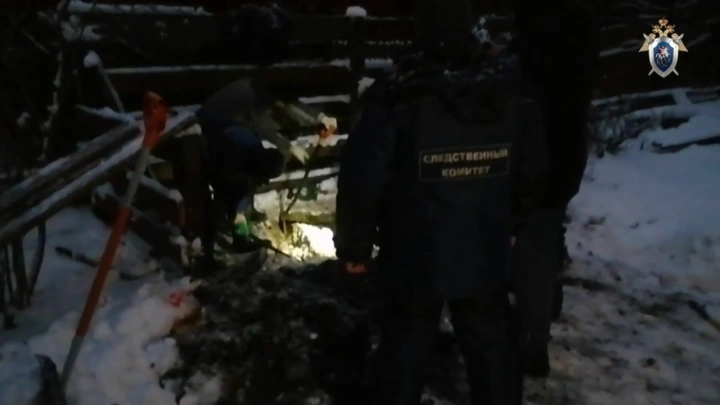 Найти тела жертв богородского маньяка помог его 9-летний сын