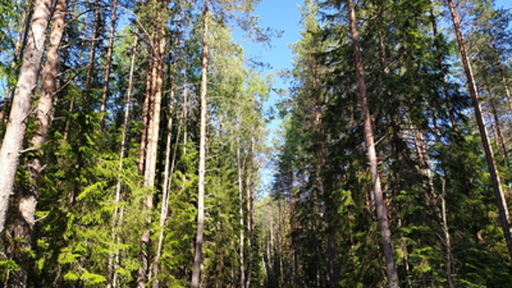 Санкции ЕС сыграли на руку русским туристам: Где теперь отдыхают наши люди