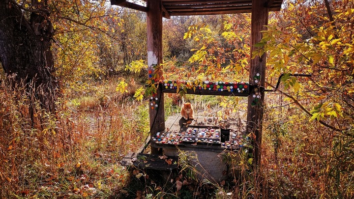 Сколько продлится золотая осень во Владимирской области?