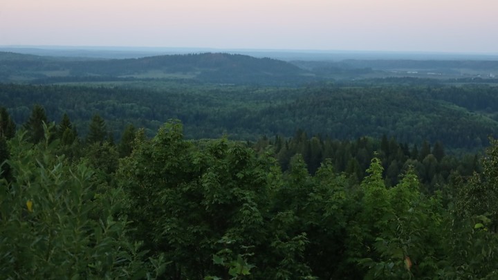 История спасения: На Урале нашли пропавших при странных обстоятельствах маленьких брата и сестру