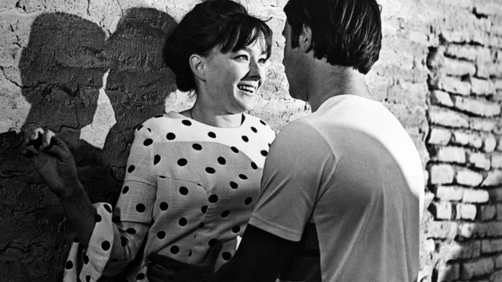 Вертинская похожа на ангела: Тарантино назвал любимый русский фильм - а за ним Лелуш, Хэнкс и Кустурица