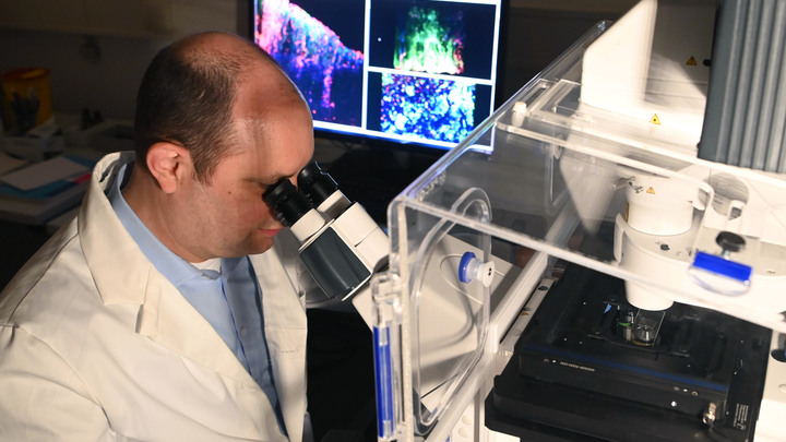 Новый подвид омикрона практически вытеснил собрата - ВОЗ