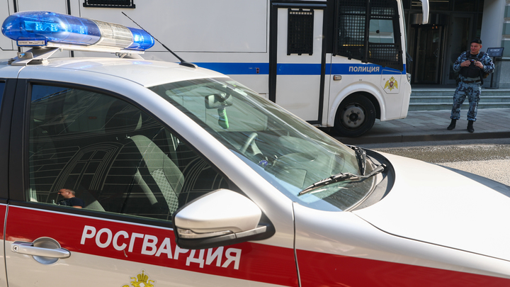 Госдума разрешила военным, ФСБ и Росгвардии бесплатно ездить по платным дорогам