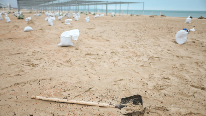 Бороться с нефтяными разливами будет проще: Учёные придумали, как помочь Анапе