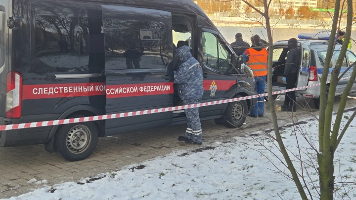 Не только мать: За жуткое убийство 6-летнего ребёнка в Балашихе ответят чиновники