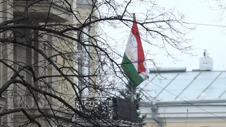 Честный враг лучше: депутат раскритиковал молчание Таджикистана в годовщину Крокуса