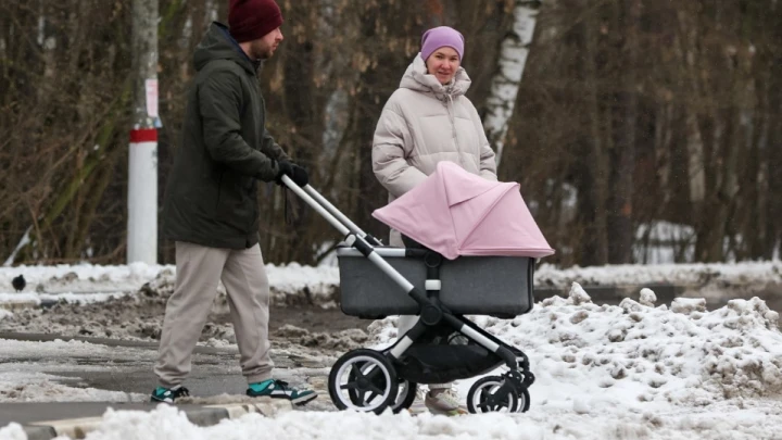 В России взялись за статистику: Власти хотят исключить фактор гостевых рождений