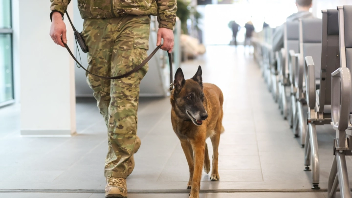 Одна из заминированных в Москве иномарок прежде принадлежала крымскому депутату