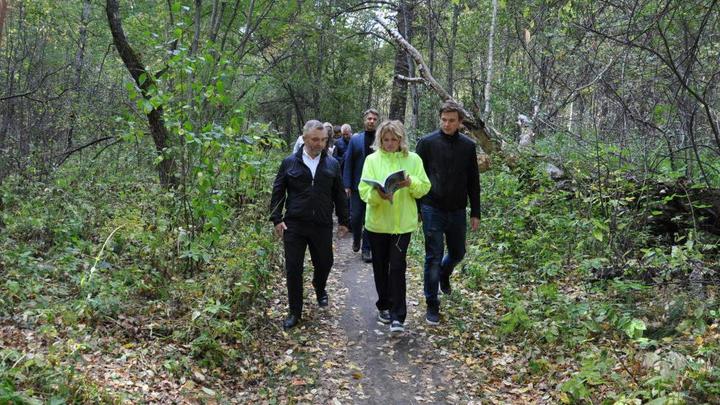 Сказочный лес с болотом в Новосибирске возьмут под особую охрану