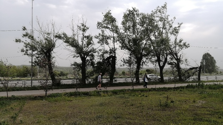 В Челябинской области молния убила человека