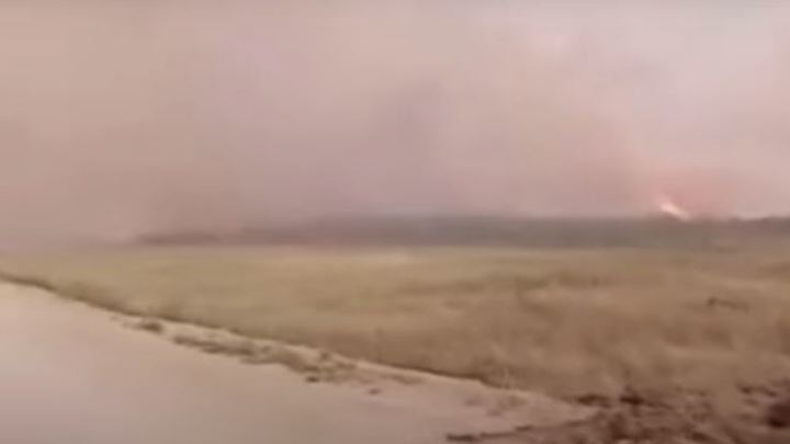 Пострадавшие от лесных пожаров могут звонить на горячую линию