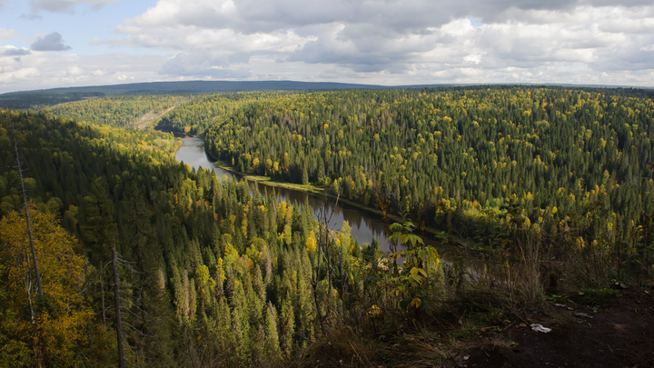 Прекращены поиски девушки, пропавшей в тайге под Североуральском