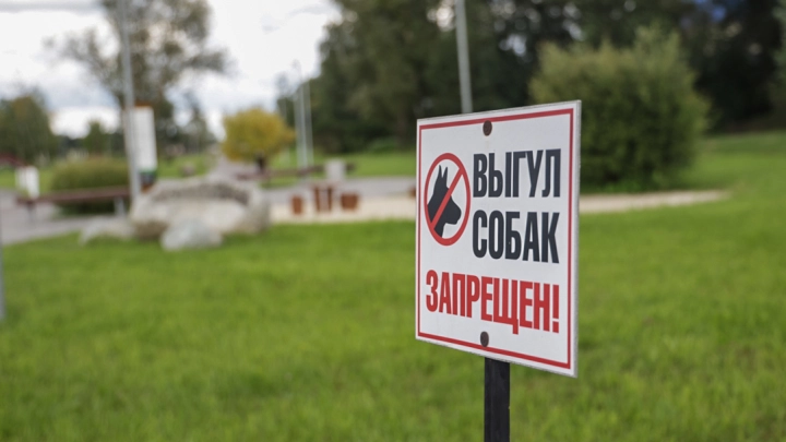 За выгул собак без поводка в Подмосковье хозяев оштрафовали на 500 тысяч рублей
