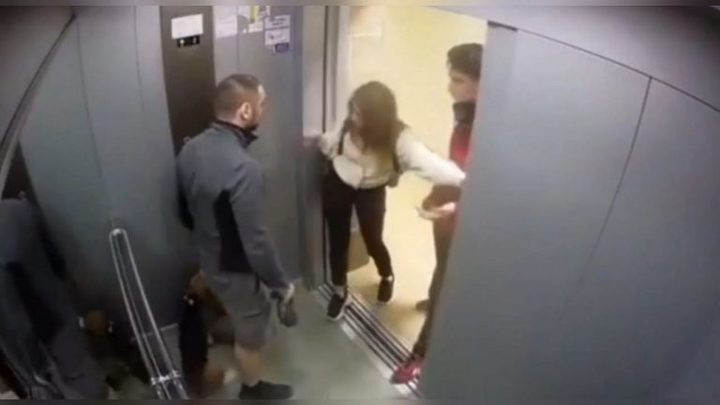 В Краснодаре мужчина жестоко избил свою собаку: ситуацией заинтересовался депутат Госдумы