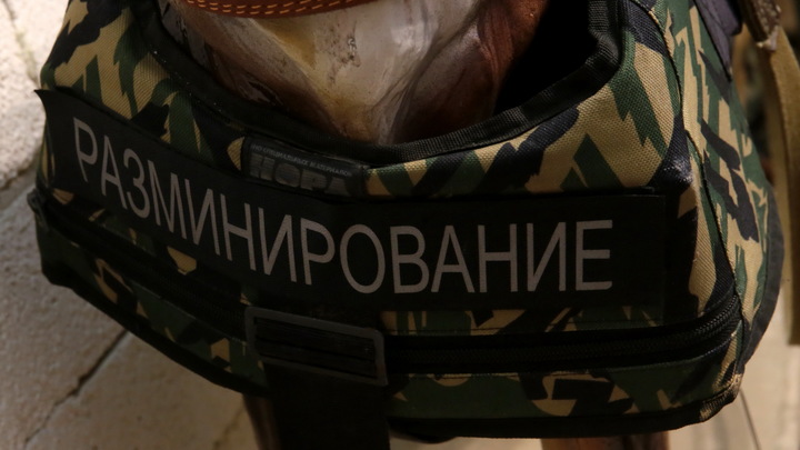 В Башкирии возле дома жители обнаружили мину
