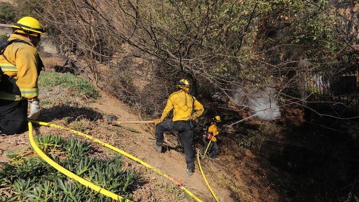 Число погибших на пожарах в Калифорнии выросло до 24 человек: Что известно к утру 13 января