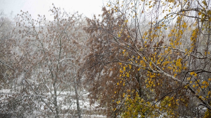 Синоптики рассказали, когда выпадет снег в Нижнем Новгороде