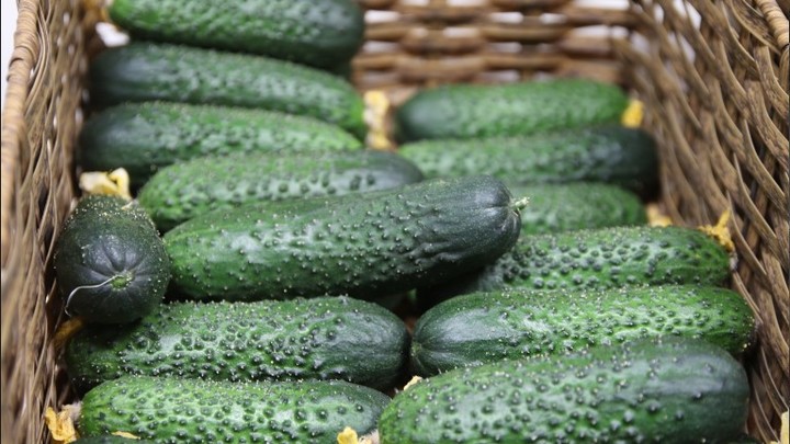 Русский огурец стал яблоком раздора для депутата: Скандал разразился в прямом эфире