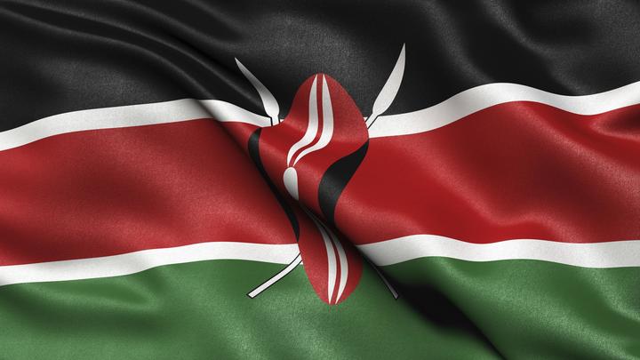 Кенийский посол ответил на слова Борреля о том, что африканцы не знают Путина