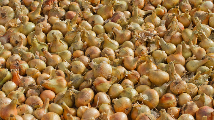 Можно есть каждый день: Назван доступный всем уникальный российский суперфуд