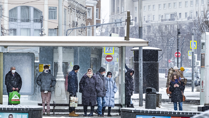 Для пенсионеров в Подмосковье разблокировали социальные карты