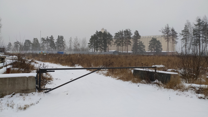 Боевые действия в условиях зимы: поможет ли генерал Мороз в победе на Украине?