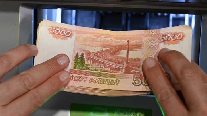 В России предложили полностью запретить коллекторов