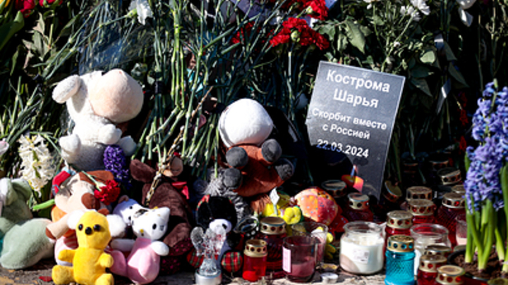 Мать главаря террористов Фаридуни* со слезами на глазах извинилась за сына