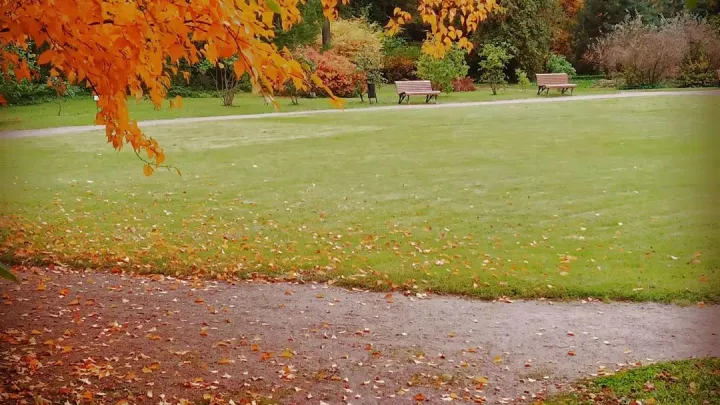Зима заглянет в Москву только на выходные: А потом ждите осенний сюрприз. Синоптик рассказал о переменчивом настроении ноября
