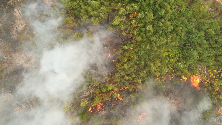 1 октября в Самарской области произошел пожар. Где именно и какие последствия ЧП