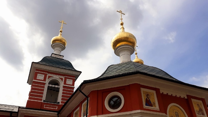 Котик будет тянуть к земле: нижегородский священник ответил на вопрос, можно ли поминать  животных