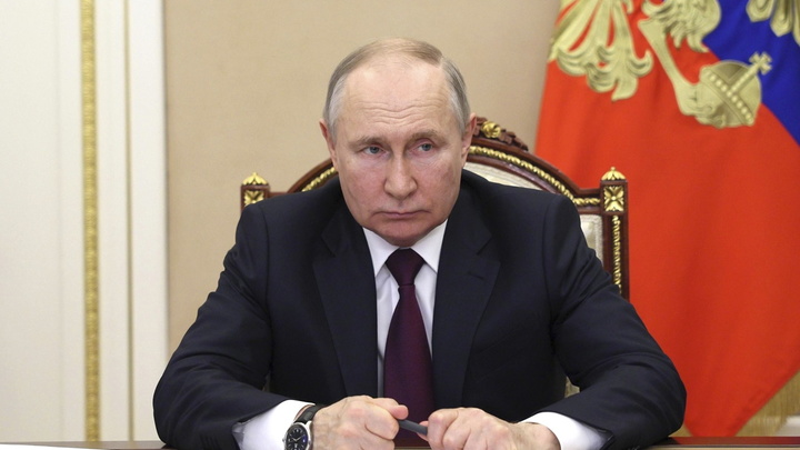 Скабеева: Путин назвал Зеленского шкурой