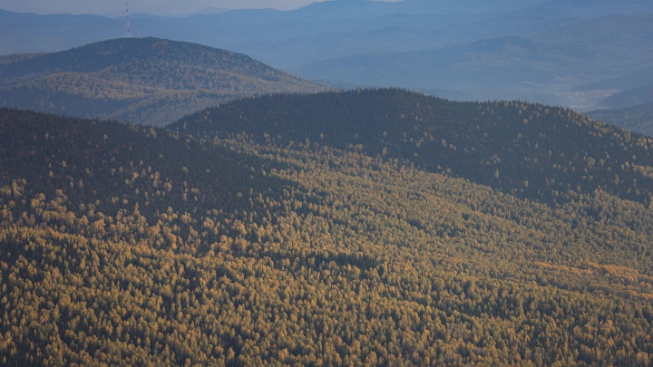 Куда пропала ушедшая в лес семья Усольцевых? Сибирский блогер выдвинул неожиданную версию