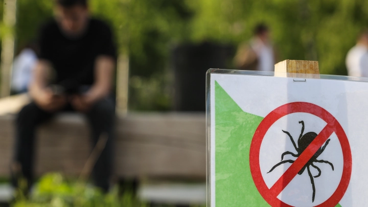 Клещи атакуют Кубань: 13% паразитов оказались заразными